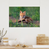 Kutest Baby Animals | Red Fox Kit Relaxing Poster (Keuken)
