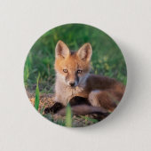 Kutest Baby Animals | Red Fox Kit Relaxing Ronde Button 5,7 Cm (Voorkant)
