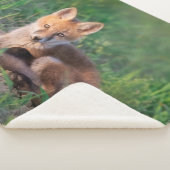 Kutest Baby Animals | Red Fox Kit Relaxing Sherpa Deken (3/4)