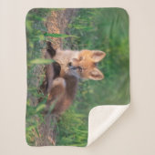 Kutest Baby Animals | Red Fox Kit Relaxing Sherpa Deken (Voorkant)