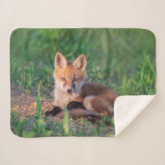 Kutest Baby Animals | Red Fox Kit Relaxing Sherpa Deken (Voorkant (horizontaal))