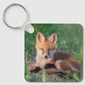 Kutest Baby Animals | Red Fox Kit Relaxing Sleutelhanger (Voorkant)