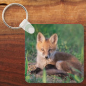 Kutest Baby Animals | Red Fox Kit Relaxing Sleutelhanger (Voorkant)