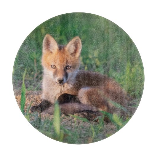 Kutest Baby Animals | Red Fox Kit Relaxing Snijplank (Voorkant)