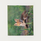 Kutest Baby Animals | Red Fox Kit Relaxing Wandkleed (Voorkant)