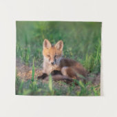 Kutest Baby Animals | Red Fox Kit Relaxing Wandkleed (Voorkant (horizontaal))
