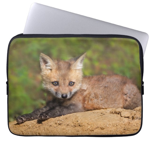 Kutest Baby Animals | Red Fox Pup Laptop Sleeve (Voorkant)