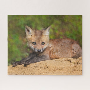 Kutest Baby Animals Red Fox Pup Legpuzzel
