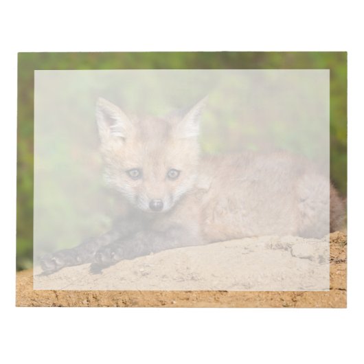 Kutest Baby Animals | Red Fox Pup Notitieblok (Voorkant)