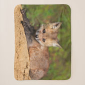 Kutest Baby Animals | Red Fox Pup Sherpa Deken (Voorkant)