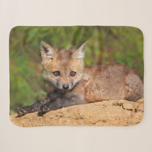 Kutest Baby Animals | Red Fox Pup Sherpa Deken (Voorkant (horizontaal))