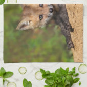 Kutest Baby Animals | Red Fox Pup Theedoek (Gevouwen)