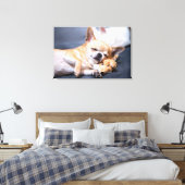 Kutest Baby Animals | Red-haring Chihuahua Dog Canvas Afdruk (Insitu (Slaapkamer))
