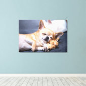 Kutest Baby Animals | Red-haring Chihuahua Dog Canvas Afdruk (Insitu (Houten vloer))
