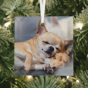 Kutest Baby Animals Red-haring Chihuahua Dog Glas Ornament