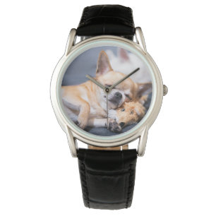 Kutest Baby Animals   Red-haring Chihuahua Dog Horloge
