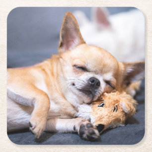 Kutest Baby Animals Red-haring Chihuahua Dog Kartonnen Onderzetters