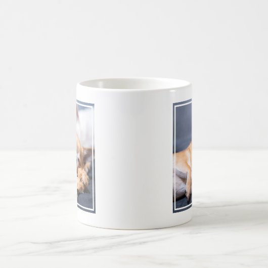 Kutest Baby Animals | Red-haring Chihuahua Dog Koffiemok (Center)