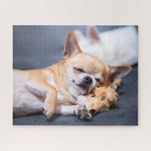 Kutest Baby Animals Red-haring Chihuahua Dog Legpuzzel