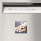 Kutest Baby Animals | Red-haring Chihuahua Dog Magneet (Insitu (Vaatwasser))