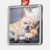 Kutest Baby Animals | Red-haring Chihuahua Dog Metalen Ornament (Links)