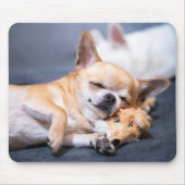 Kutest Baby Animals | Red-haring Chihuahua Dog Muismat (Voorkant)