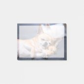 Kutest Baby Animals | Red-haring Chihuahua Dog Post-it® Notes (Voorkant)