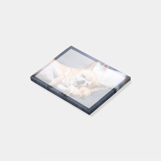 Kutest Baby Animals | Red-haring Chihuahua Dog Post-it® Notes (Schuin)