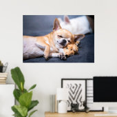 Kutest Baby Animals | Red-haring Chihuahua Dog Poster (Thuiskantoor)