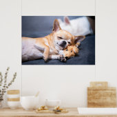 Kutest Baby Animals | Red-haring Chihuahua Dog Poster (Keuken)