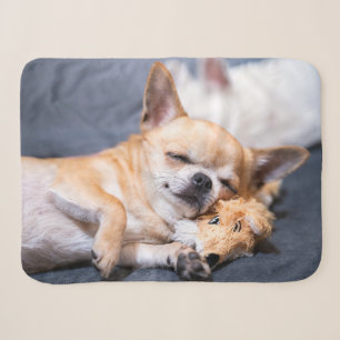 Kutest Baby Animals   Red-haring Chihuahua Dog Sherpa Deken