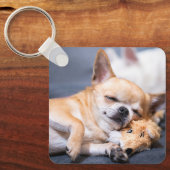 Kutest Baby Animals | Red-haring Chihuahua Dog Sleutelhanger (Voorkant)