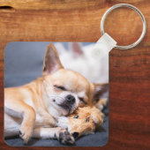 Kutest Baby Animals | Red-haring Chihuahua Dog Sleutelhanger (Achterkant)