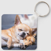 Kutest Baby Animals | Red-haring Chihuahua Dog Sleutelhanger (Achterkant)