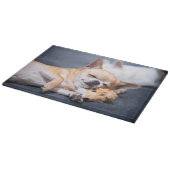 Kutest Baby Animals | Red-haring Chihuahua Dog Snijplank (Hoek)