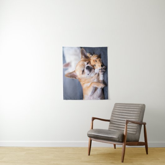 Kutest Baby Animals | Red-haring Chihuahua Dog Wandkleed (In situ)