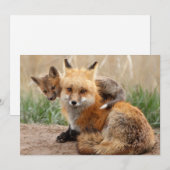 Kutest Baby Animals | Rode vos en Baby Bedankkaart (Voorkant / Achterkant)