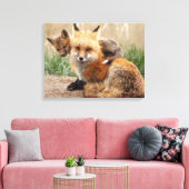 Kutest Baby Animals | Rode vos en Baby Canvas Afdruk (Insitu (Woonkamer))
