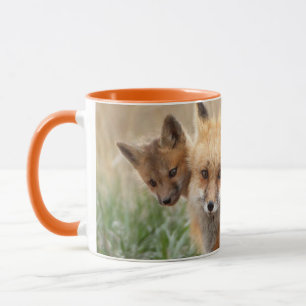 Kutest Baby Animals   Rode vos en Baby Mok
