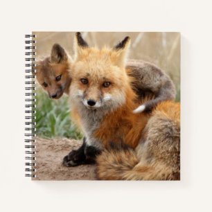 Kutest Baby Animals Rode vos en Baby Notitieboek