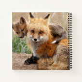 Kutest Baby Animals | Rode vos en Baby Notitieboek (Achterkant)