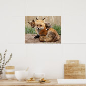 Kutest Baby Animals | Rode vos en Baby Poster (Keuken)
