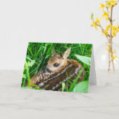 Kutest Baby Animals | Roe Deer Baby Kaart (Gele Bloem)