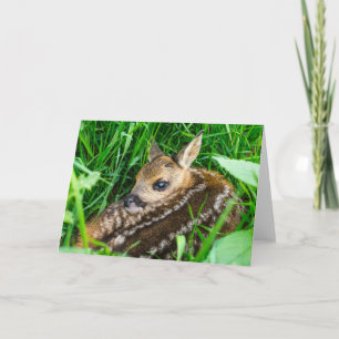 Kutest Baby Animals Roe Deer Baby Kaart