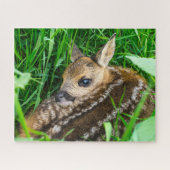 Kutest Baby Animals | Roe Deer Baby Legpuzzel (Horizontaal)