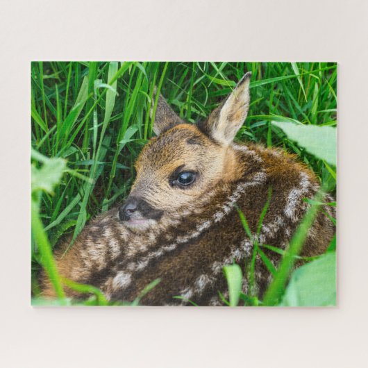 Kutest Baby Animals | Roe Deer Baby Legpuzzel (Horizontaal)