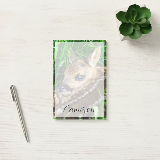 Kutest Baby Animals | Roe Deer Baby Post-it® Notes (Kantoor)