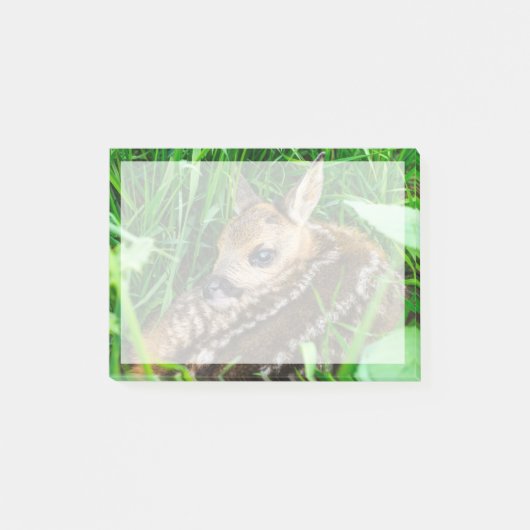Kutest Baby Animals | Roe Deer Baby Post-it® Notes (Voorkant)