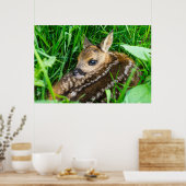 Kutest Baby Animals | Roe Deer Baby Poster (Keuken)