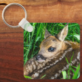 Kutest Baby Animals | Roe Deer Baby Sleutelhanger (Voorkant)